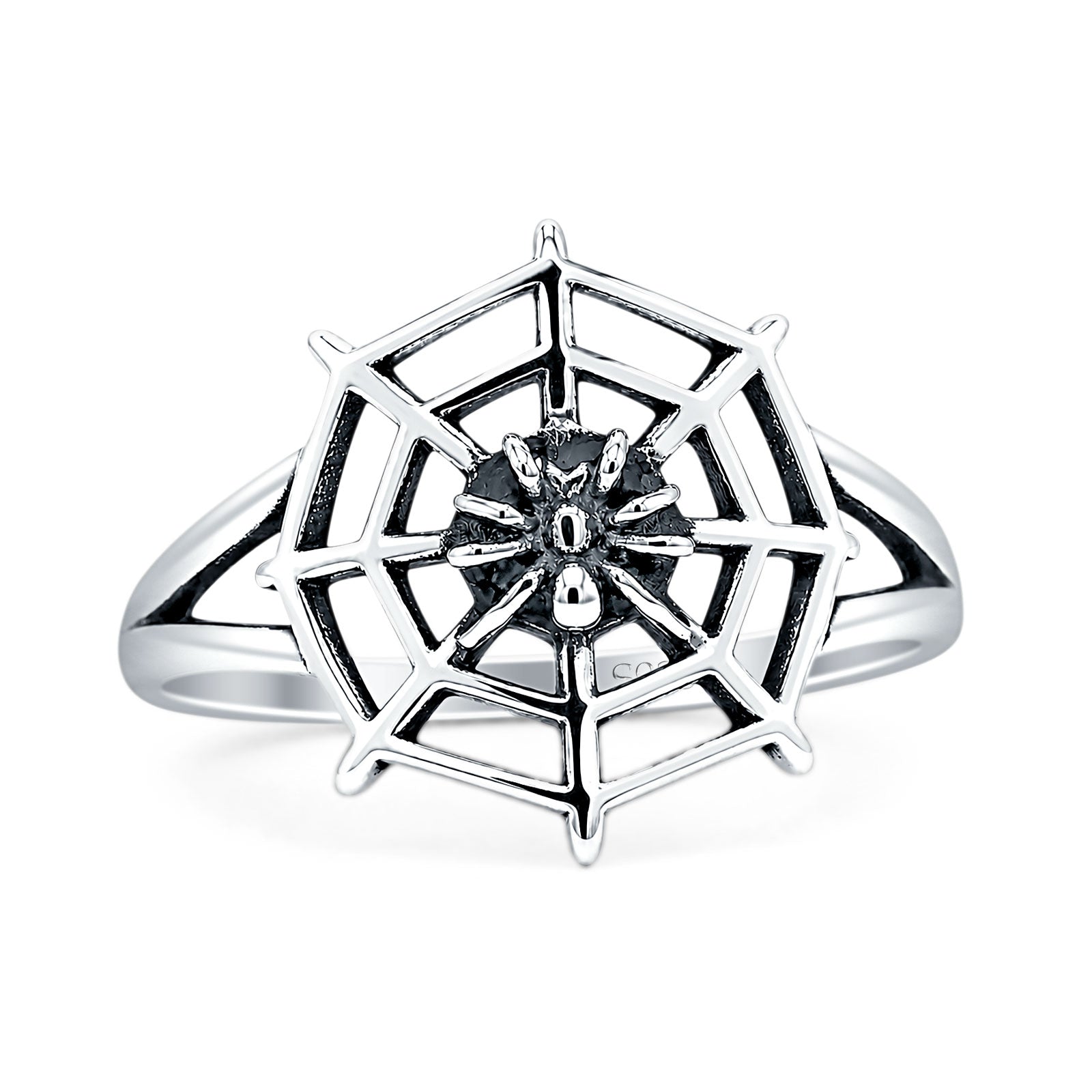 Spider Web Ring