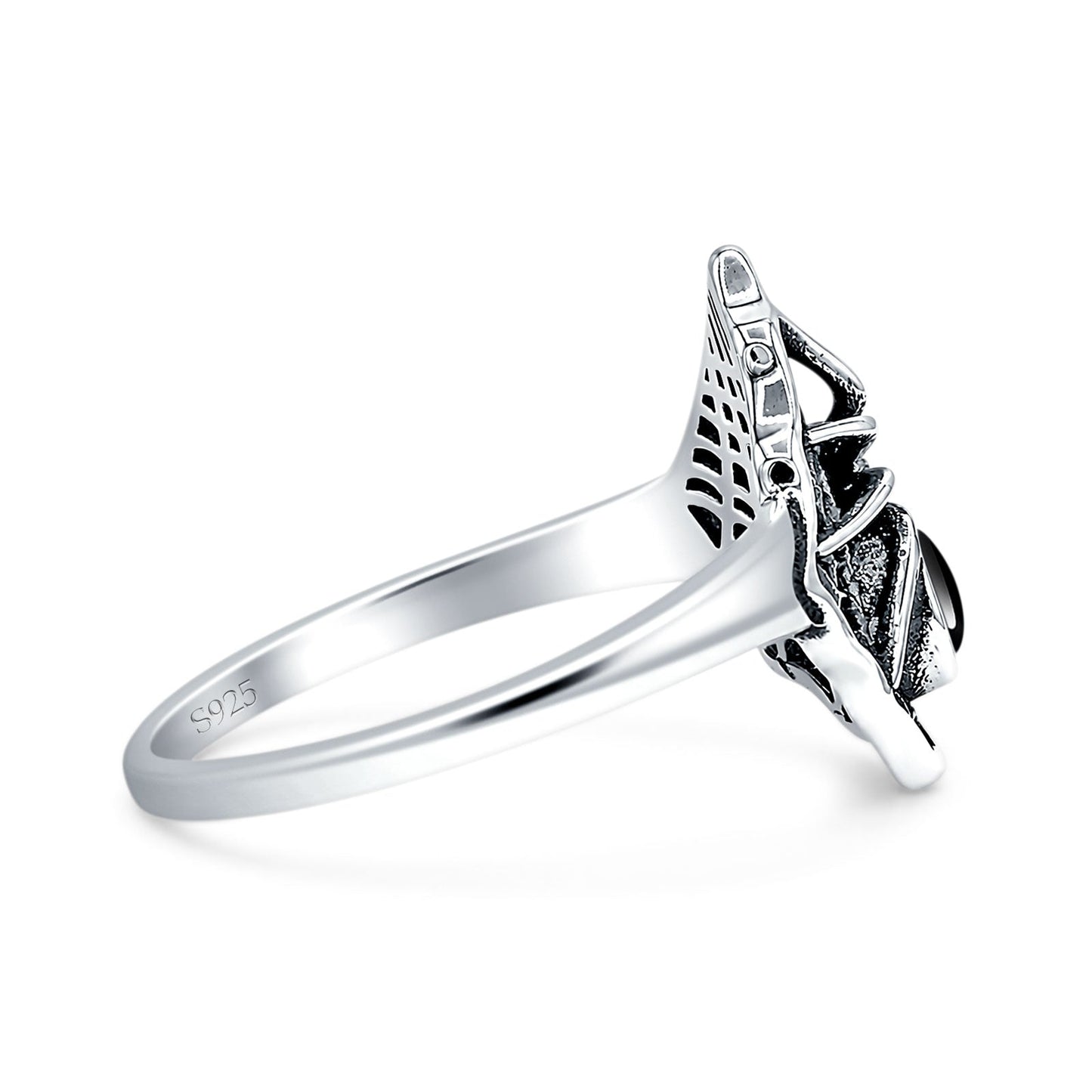 Spider Web Ring