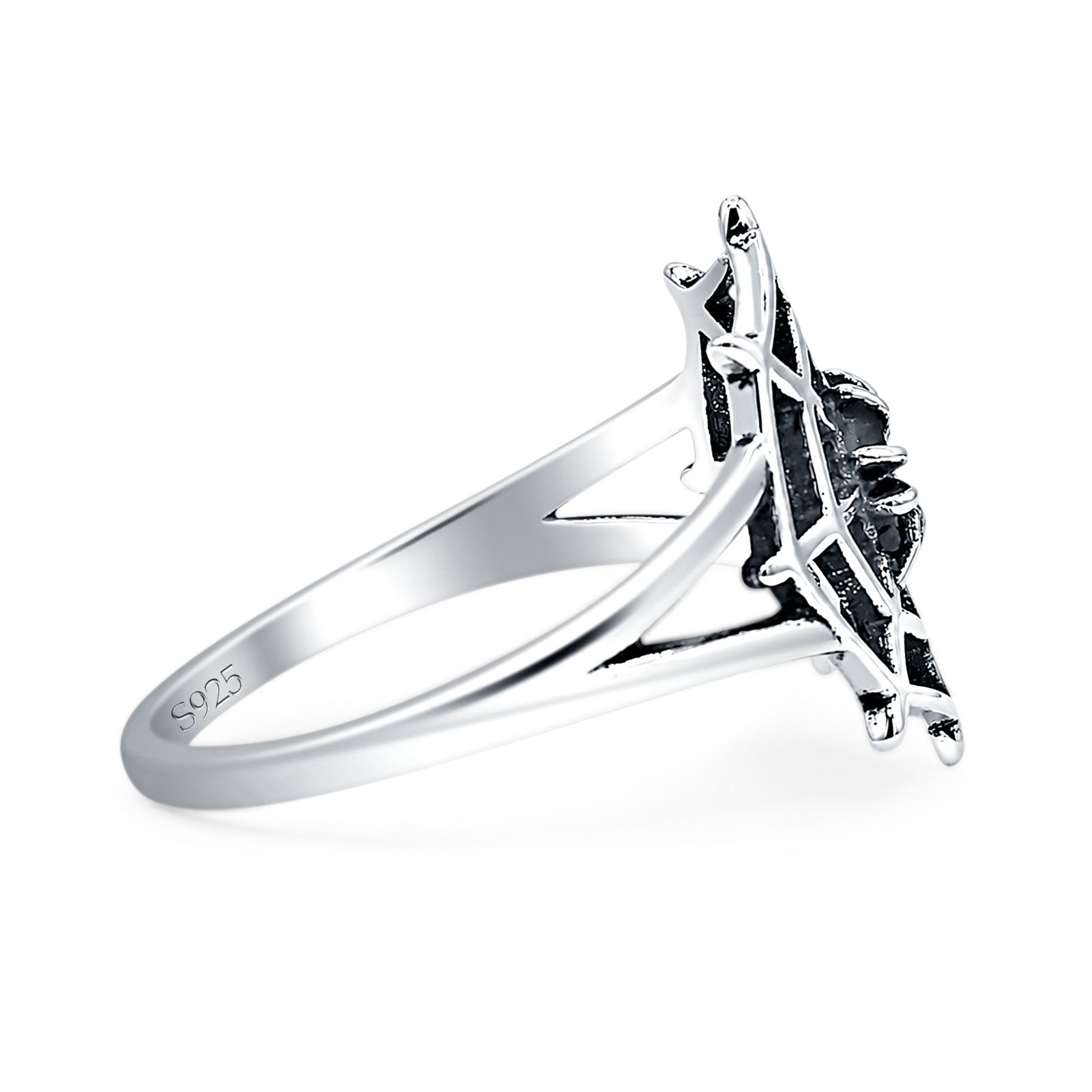 Spider Web Ring