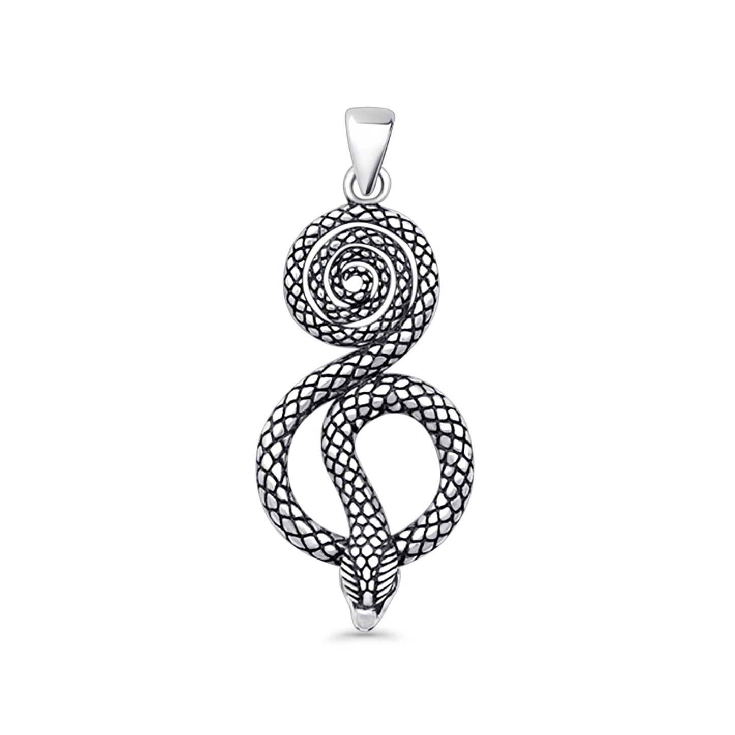 Snake & Spiral Pendant