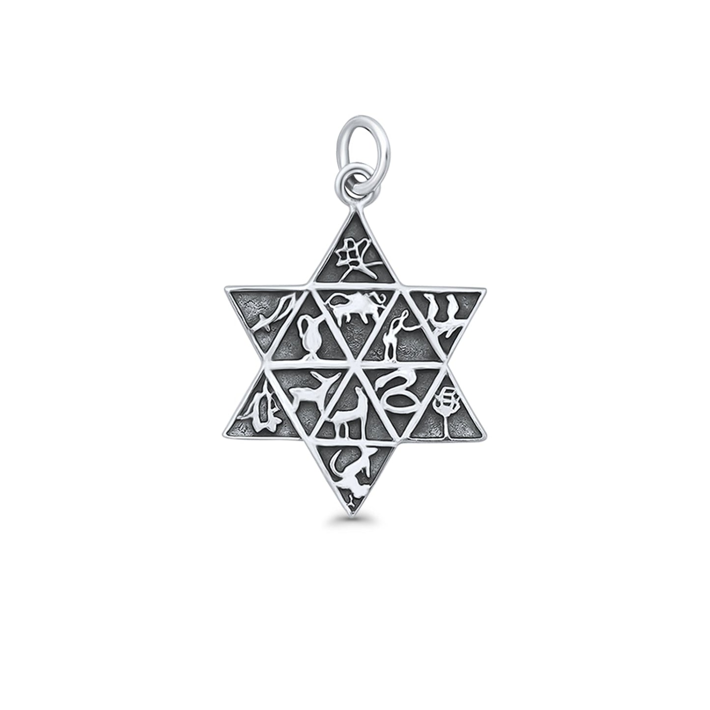 Tribes of Israel Star of David Pendant