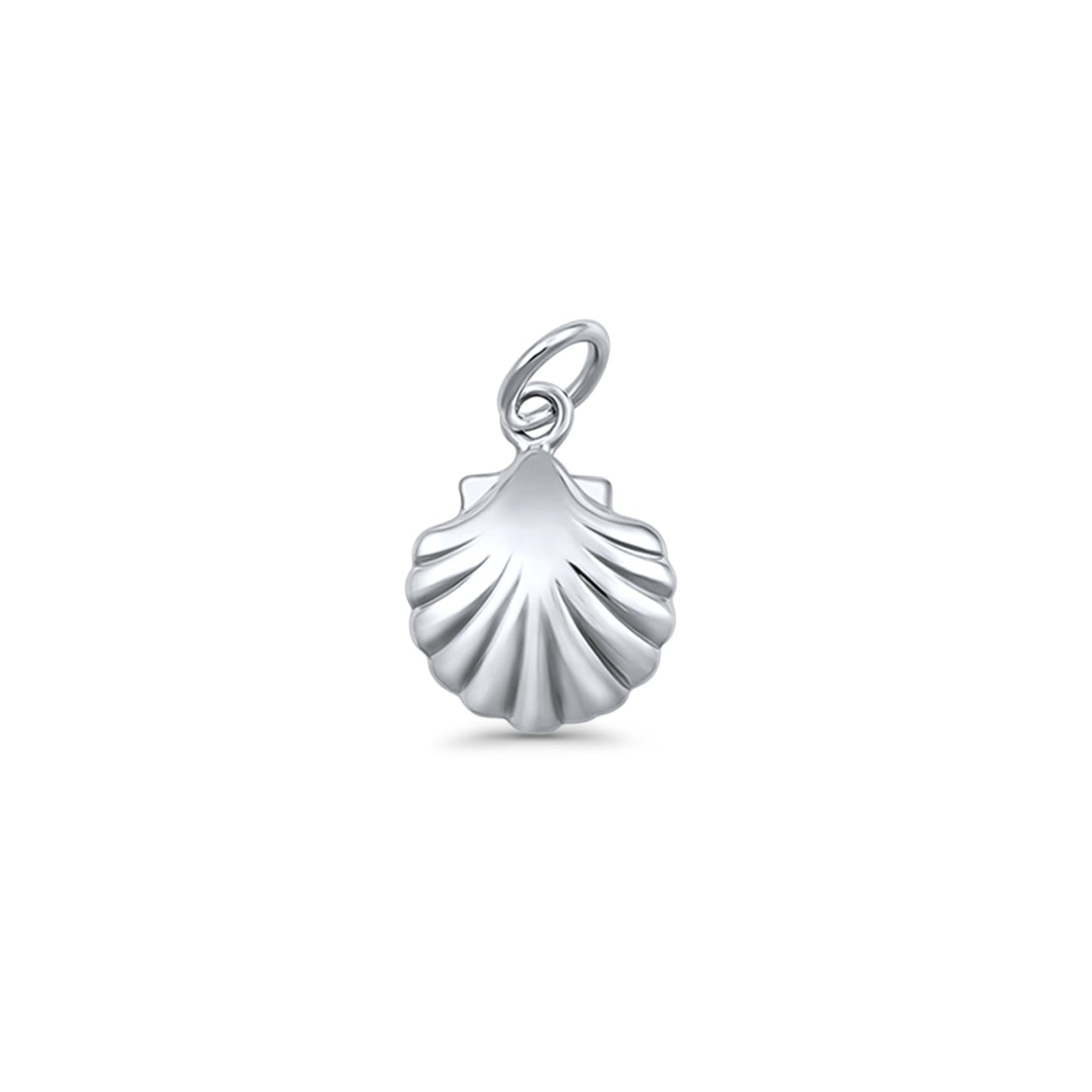 Seashell Pendant