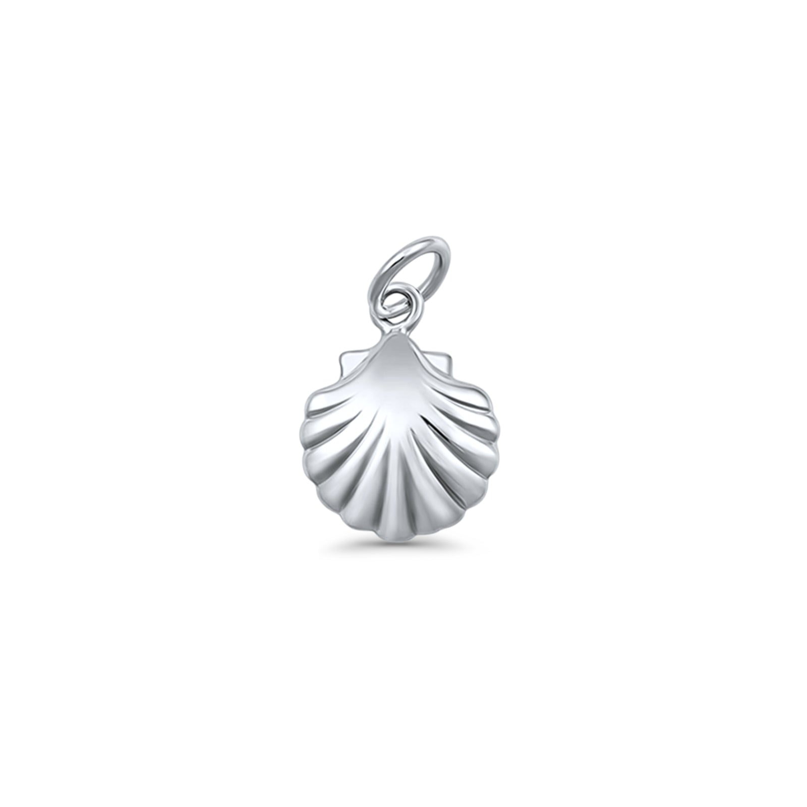 Seashell Pendant